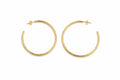 Brincos Argola Lisa G Banho Ouro 18k