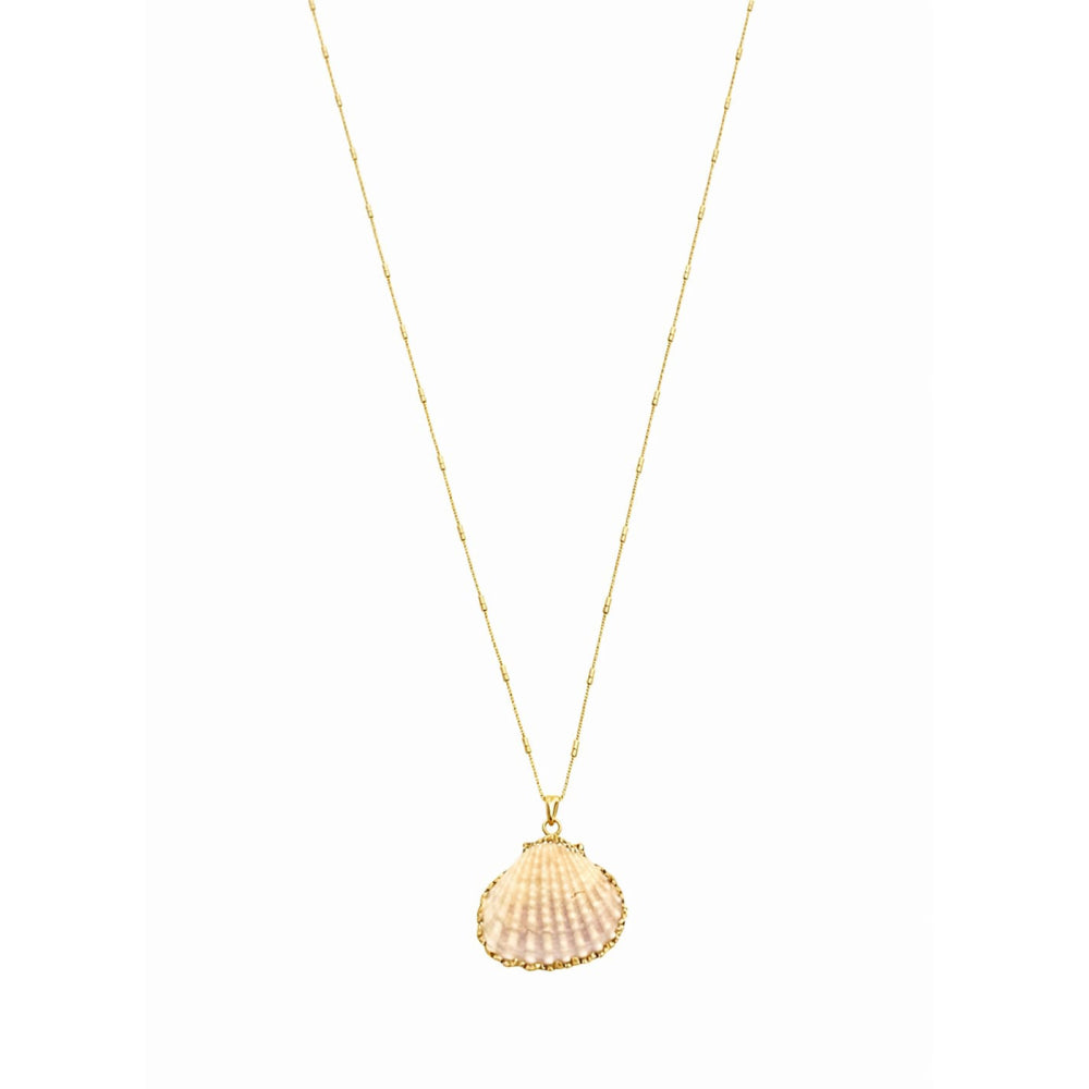 Colar Canutilho Pingente Concha Banho Ouro 18k